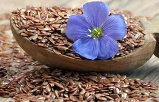 Франція, Польща та Італія стали головними покупцями українського льону