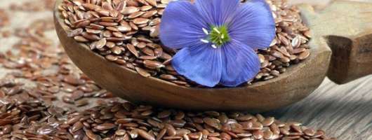 Франція, Польща та Італія стали головними покупцями українського льону