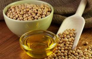 DFC дасть $40 млн на завод з виробництва соєвого протеїну в Україні