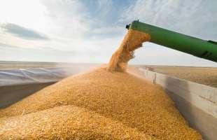 Україна продовжить домагатися розширення аграрних квот ЄС - Висоцький