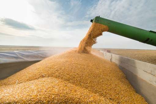 Україна продовжить домагатися розширення аграрних квот ЄС - Висоцький
