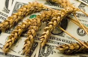 Березневий експорт агропродукції зріс на 10,8%, до 5,5 млн тонн