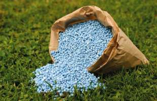Імпорт азотних добрив в Україну зріс до 1,8 млн тонн, посилюючи тиск на виробників