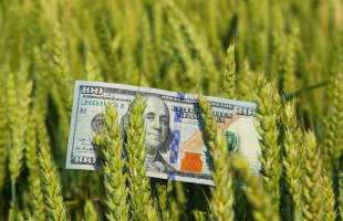 Платформа Open Agri залучила понад $16 млн фінансування для фермерів
