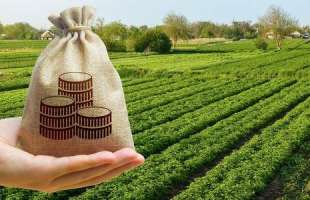 Податки за землю в Україні принесли до бюджету 45,6 млрд гривень за підсумками 2025 року