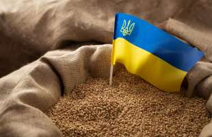 ЄС залишається ключовим покупцем української агропродукції з часткою 50%