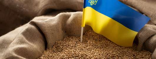 ЄС залишається ключовим покупцем української агропродукції з часткою 50%