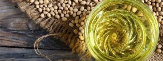 Валютна виручка від експорту соєвої олії зросла на 19,3%