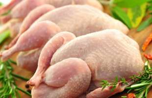 Україна у березні наростила експорт курятини до максимуму за чотири роки