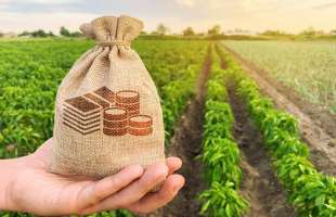Вартість якісної агроземлі може зрости до $6 тис. за гектар