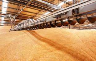 Україна та Гана домовилися про співпрацю в переробці агропродукції та логістиці