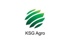KSG Agro купив 500 свиноматок Danish Pig Genetics