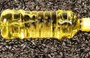 Україна експортувала олії на $5,8 мільярда, переважно до Європи, незважаючи на війну