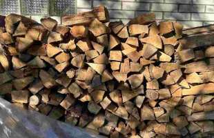 Ціна на дрова для домогосподарств залишиться незмінною в межах соцнорми