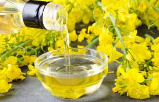 Експорт ріпакової олії з України зріс у 2,2 раза за вісім місяців сезону