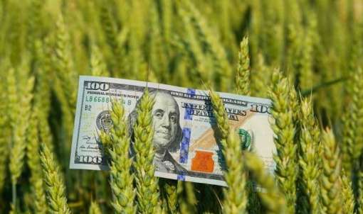 ІМК у 2025 році знизив виручку до $190,4 млн на тлі падіння обсягів реалізації