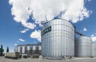 Агрохолдинг Кернел фіксує ріст експорту зерна після початку збирання врожаю