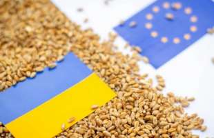 Імпорт агропродукції до ЄС зріс до $96,8 млрд, експорт — до $118,7 млрд
