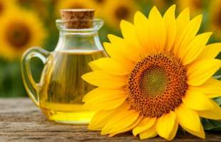 Українські виробники соняшникової олії зберігають першість у світі