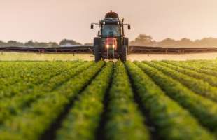 Палива для посівної вистачить на місяць — Мінекономіки