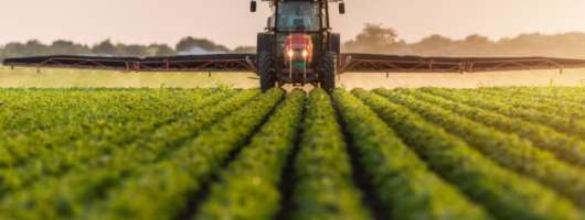 Палива для посівної вистачить на місяць — Мінекономіки