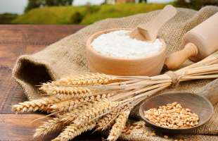 Молдова, Чехія та Палестина — ключові покупці українського борошна у 2025 році 