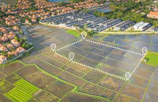 Надходження земельного податку зросли на 15,3% у січні–жовтні