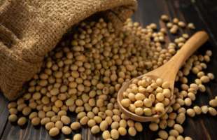 Мінекономіки створює IT-систему для контролю експорту сої та ріпаку