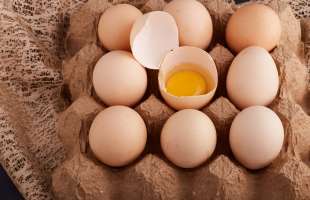 Україна у березні наростила експорт яєць до максимуму за п’ять років