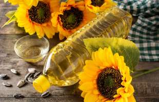 Врожай соняшника скоротився на 10,6% через посуху та зменшення площ