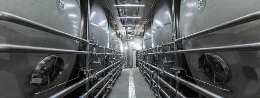 Пивоварна група «Опілля» виплатить дивіденди за 2025 рік