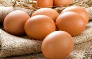 Україна збільшила експорт яєць на 67% за 11 місяців