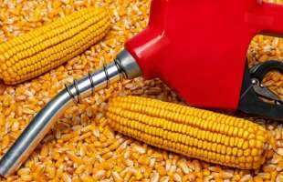 Виробники біоетанолу готують захист внутрішнього ринку з 2026 року