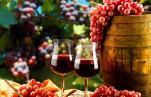 В Україні налічується понад 180 виробників виноробної продукції
