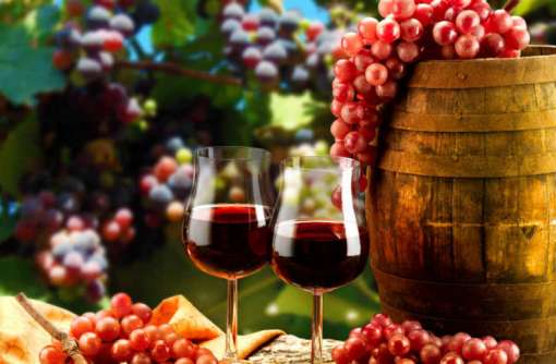 В Україні налічується понад 180 виробників виноробної продукції
