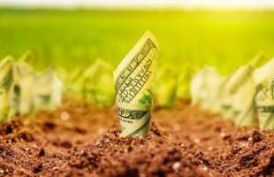 KSE оцінила середню вартість сільгоспземлі у 87,9 тис. грн/га