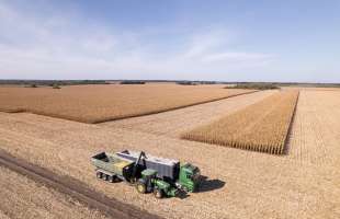 Alebor Group завершила сезон із високими показниками врожайності