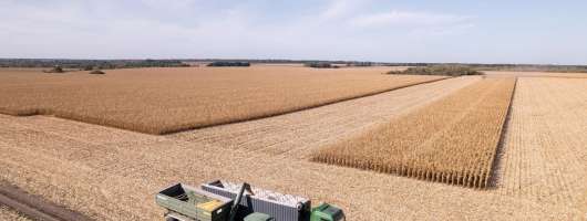 Alebor Group завершила сезон із високими показниками врожайності