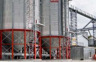 Агрохолдинг розширює експорт переробленої сої завдяки сертифікації non-GMO