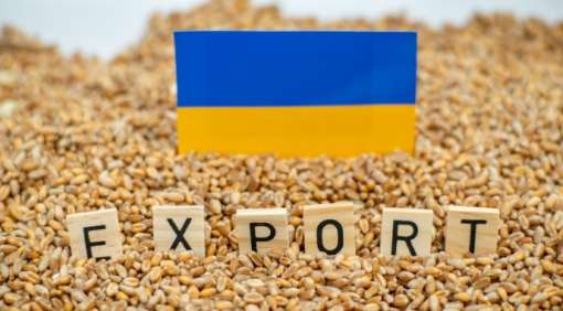 Україна за дев’ять днів вересня експортувала 630 тис. тонн агропродукції