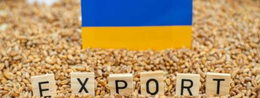 Україна за дев’ять днів вересня експортувала 630 тис. тонн агропродукції