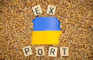 Осипов: без відновлення експорту аграрії можуть скоротити посівні площі