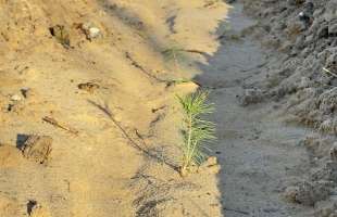 ОГХК відновила майже тридцять гектарів земель після видобутку