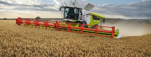 KSG Agro збиратиме озиму пшеницю з 3,7 тис. га