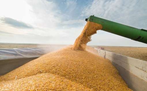Експорт агропродукції України у вересні впав на 38% – до 2,84 млн тонн