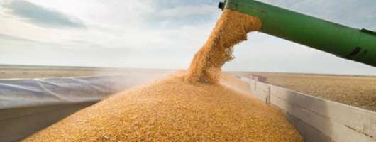 Експорт агропродукції України у вересні впав на 38% – до 2,84 млн тонн