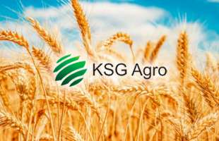 Прибуток KSG Agro у свинарстві за 9 місяців 2025 року сягнув майже $1,94 млн