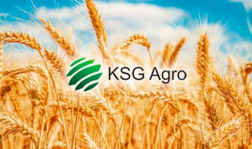 Прибуток KSG Agro у свинарстві за 9 місяців 2025 року сягнув майже $1,94 млн