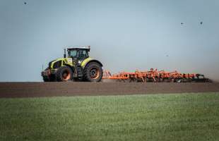 «ТАС Агро» вперше сіятиме льон і технічні коноплі