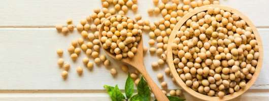 KSE: чисті втрати економіки від мит на ріпак та сою можуть сягнути 670 млн грн